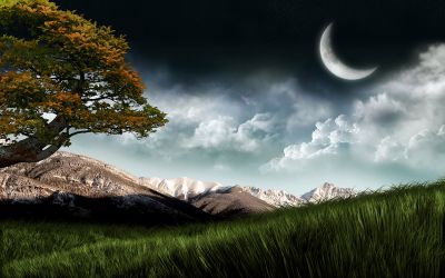 Nature at night