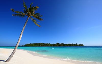 Beautiful Beach - Australia